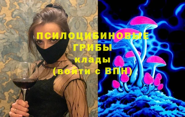 винт Алзамай