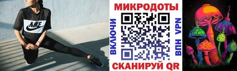 Псилоцибиновые грибы Cubensis Александровск-Сахалинский
