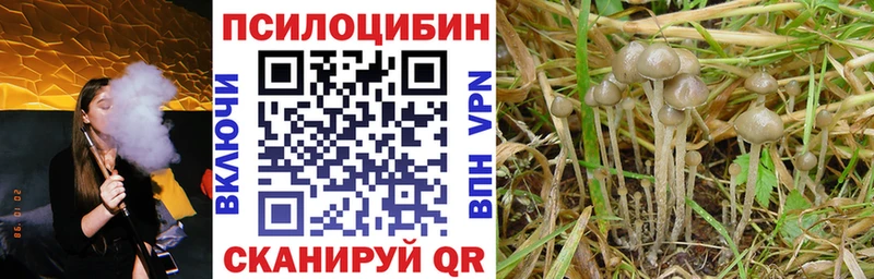 купить закладку  Александровск-Сахалинский  Галлюциногенные грибы мухоморы 